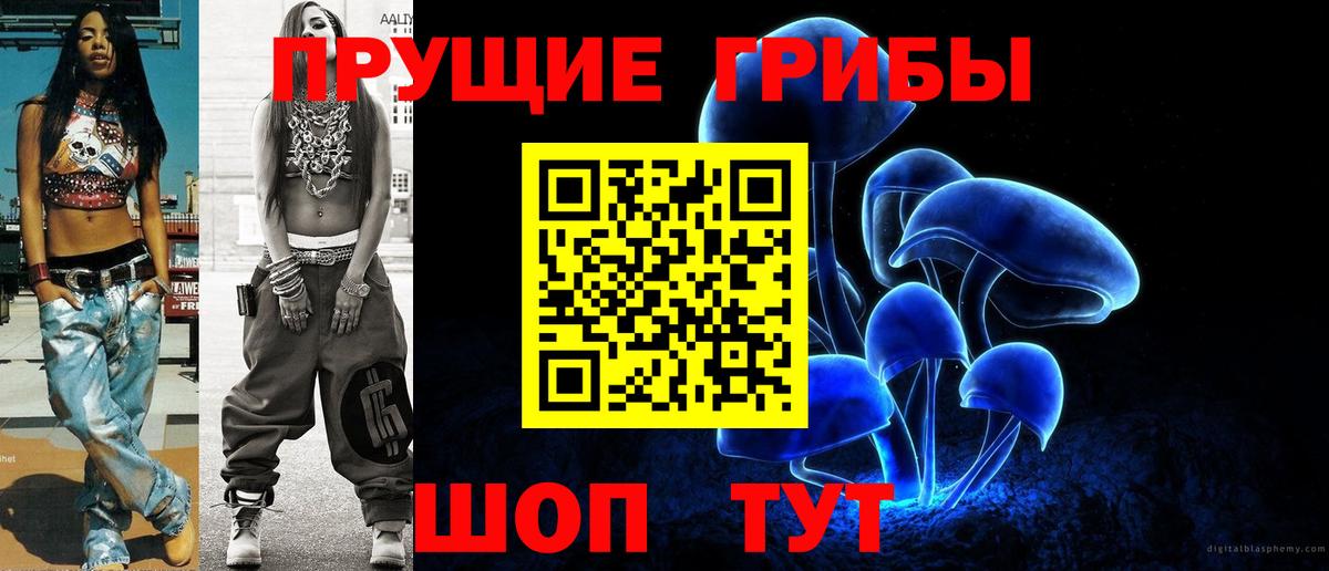 Галлюциногенные грибы Psilocybine cubensis  Вход с VPN  Ликино-Дулёво 