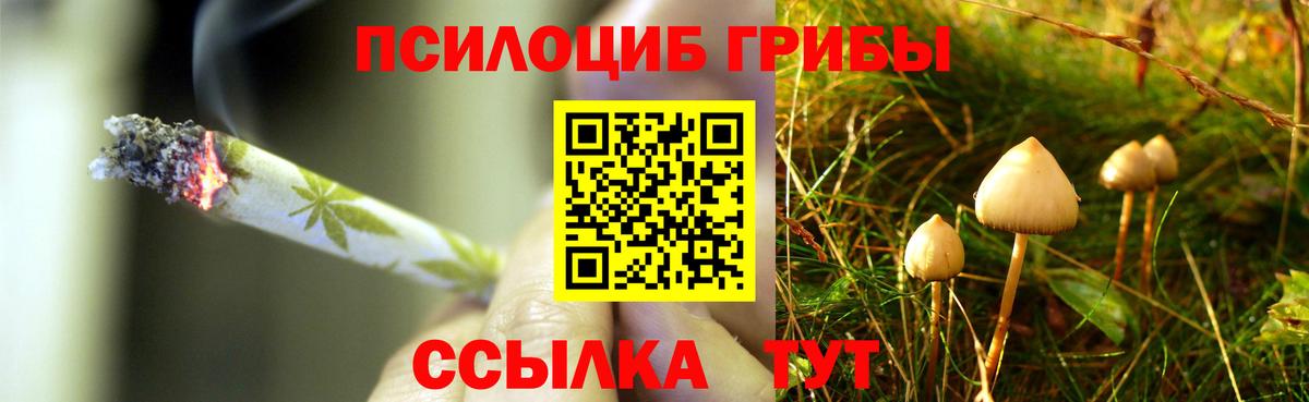Галлюциногенные грибы мухоморы Ликино-Дулёво